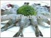 RAW PEELED   DEVEINED TAIL-ON BLACK TIGER shrimp