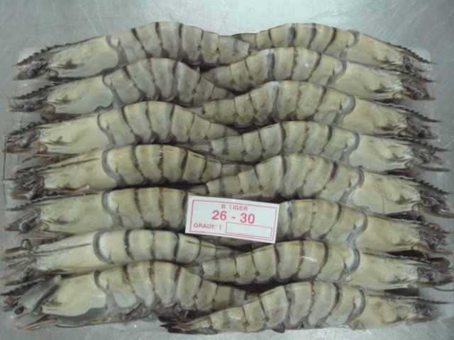  FROZEN   HOSO   BLACK   TIGER   SHRIMP 
