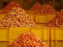 Crustaceans