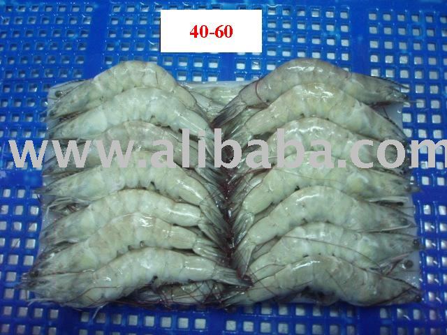 RAW HEAD-ON SHEEL-ON VANNAMEI SHRIMP