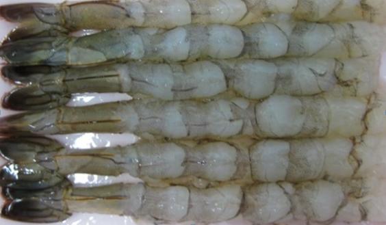 Nobashi Ebi Shrimp