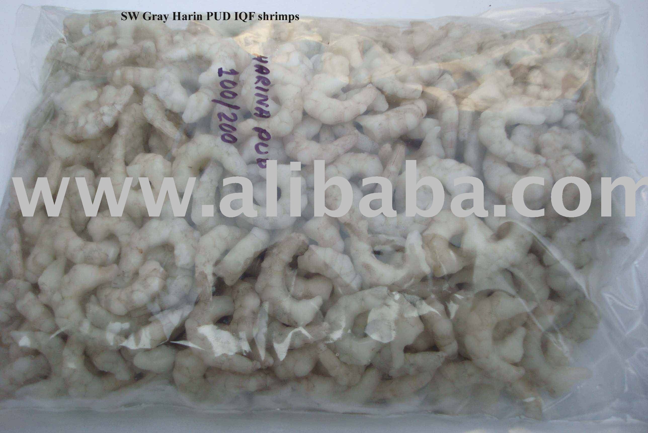GREY HARINA(META PENAEUS MONOCEROUS) PUD IQF SHRIMPS