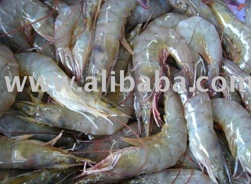 Vannamei Raw HOSO SHRIMP - Penaeus Vannamei