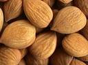 Good Quality Almond Seeds for sale