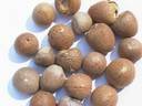 Quality Betel Nuts for sale
