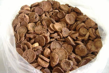 DRIED WHOLE BETEL NUT