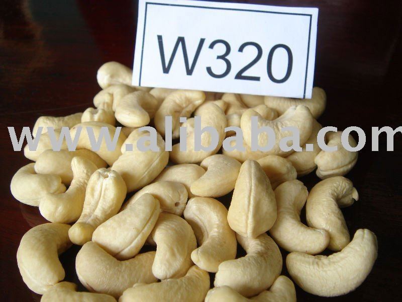 High Quality Raw Cashew Nuts W320 