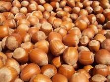  Raw    hazelnut s