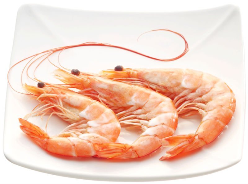 CHO shrimp