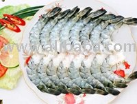 Black Tiger PTO Shrimp