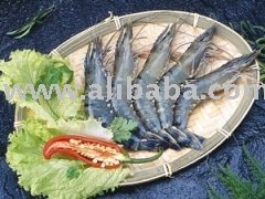 White Shrimp