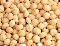  RAW  AND  ROASTED  PISTACHIO NUTS