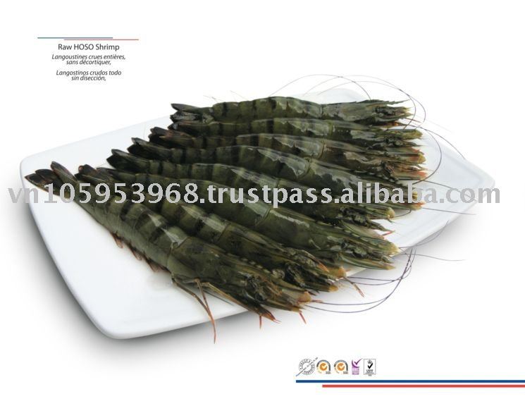 FRESH FROZEN BLACK TIGER SHRIMP
