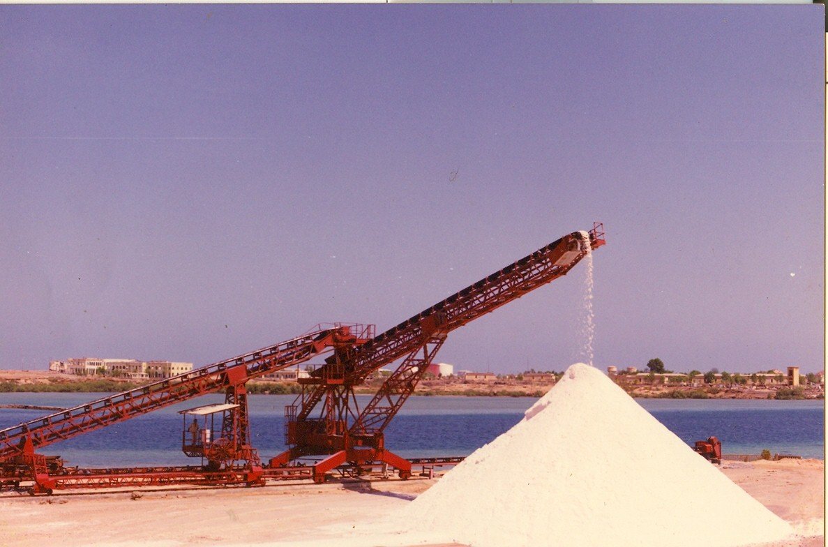  Bulk   Salt 