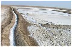  Raw   Sea   salt 