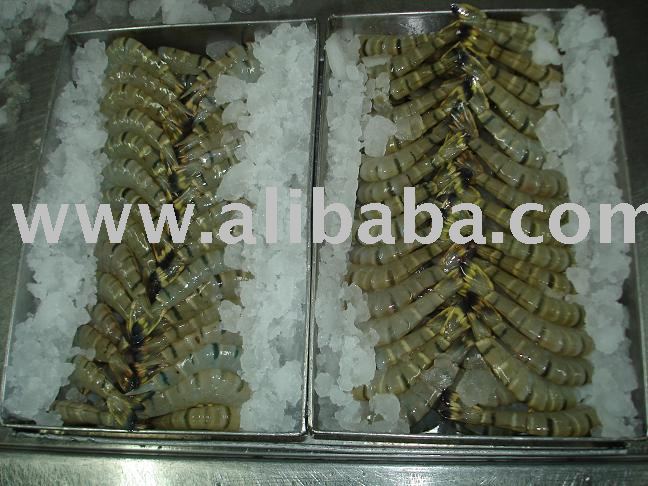 Head Less Shrimp