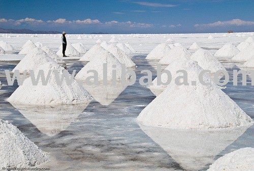  Lake   Salt 