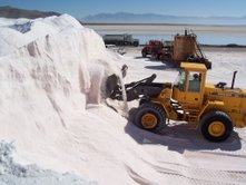  Bulk   Salt 