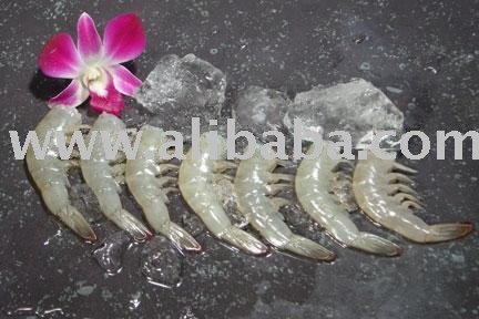 Headless shell on Vannamei shrimp