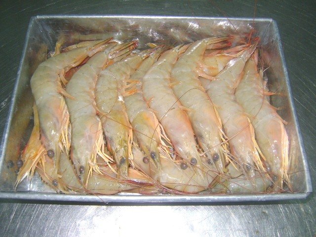 White Shrimp,Myanmar price supplier - 21food