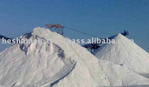 Egypt Road  Salt   Price 