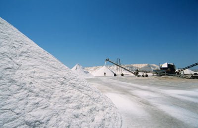 factory price products sodium chloride  97.5%min
