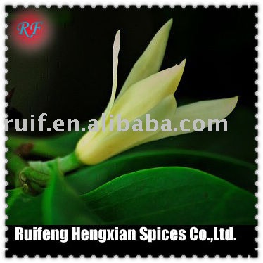essence (Michelia alba leaf oil)