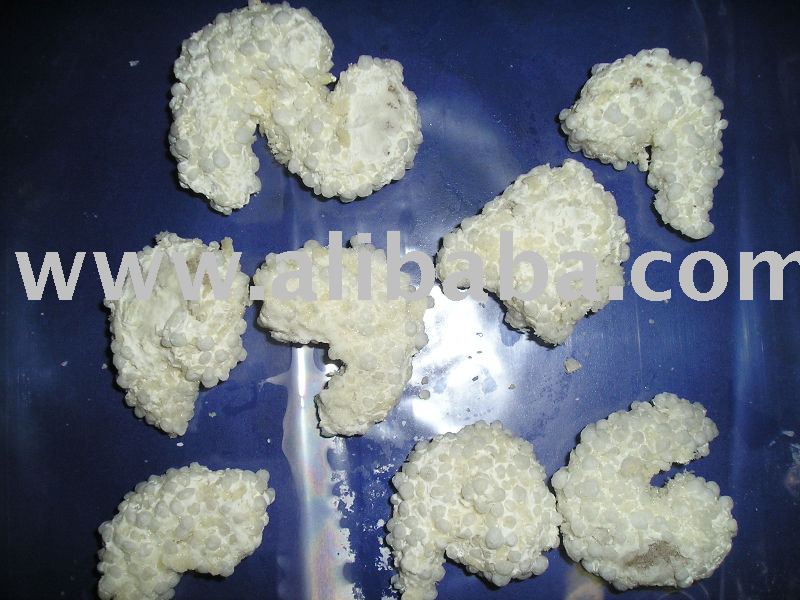  Frozen   rice  ball shrimp