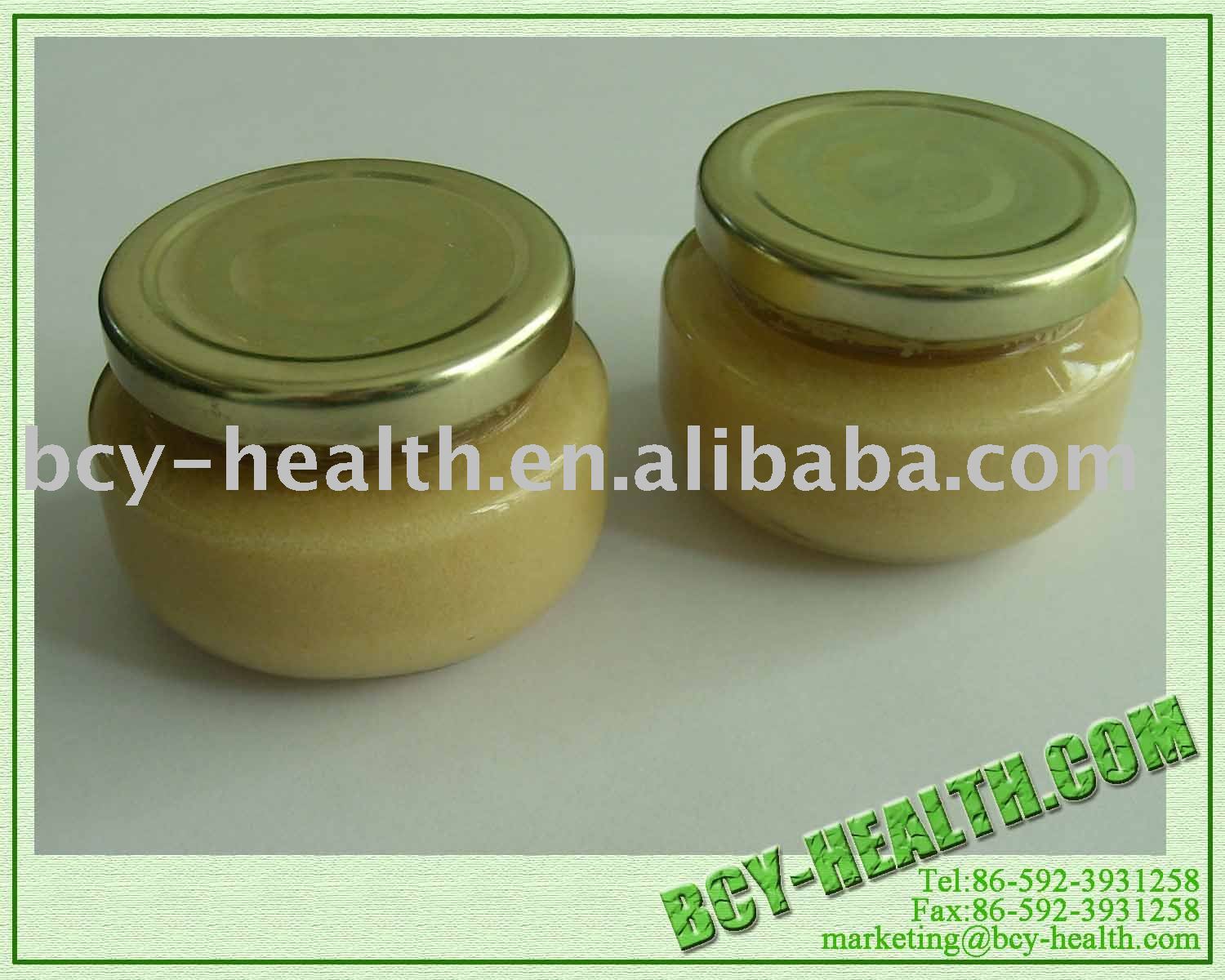  Garlic   Paste 