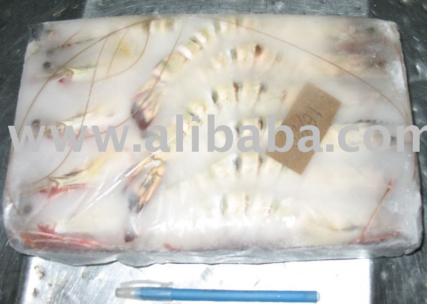 IMPEXbdi-Ocean Tiger Prawns