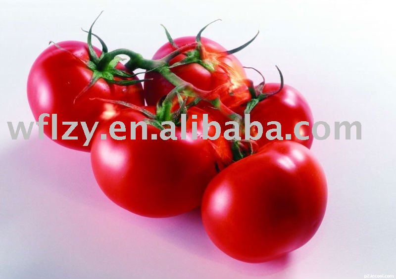 tomato paste 36-38%