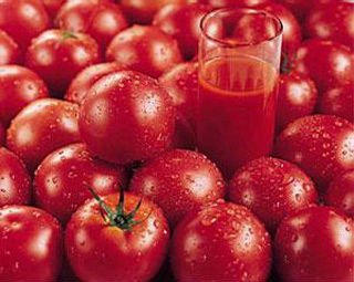 tomato  paste