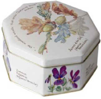 gifts box chocolate