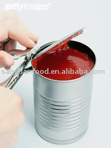 Tomato Sauce Rich in Flavors