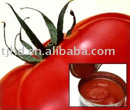 36-38% brix tomato paste HACCP