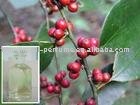 Natural Wintergreen Oil