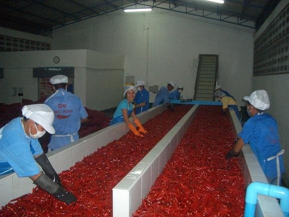 Sambal Oelek