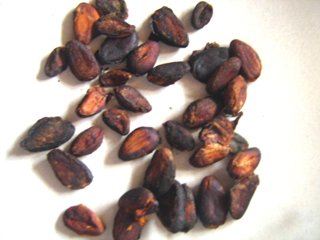  Raw   Chocolate 