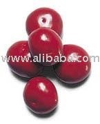Chocolate  Pastel  Chocolate Cherries 8 oz Bag