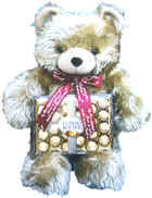 TFV21:  Teddy  Bear 24   with Ferrero Rocher chocolate 300g.