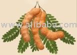  Tamarind   Sauce 