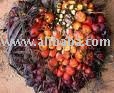  Quality  Refine and  Crude   Palm  Oil