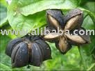 Quality refine sunflower Oil