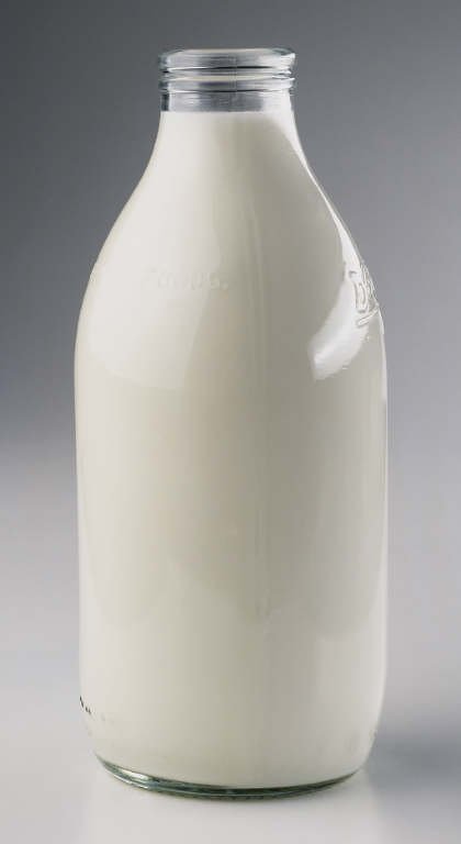  cattle   milk 