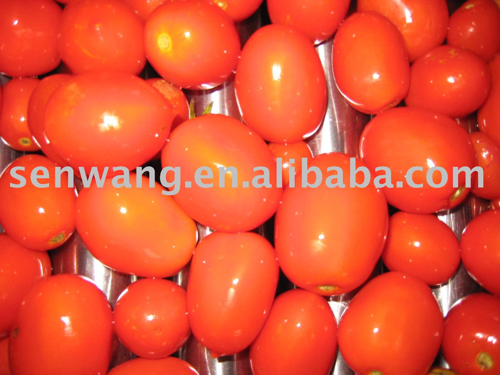 h Garden fresh pure natural tomato puree in drum