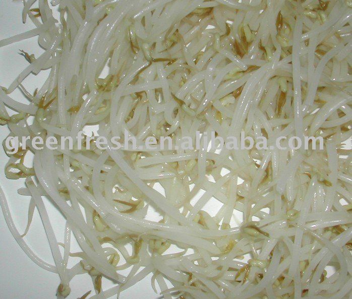 Canned bean sprout