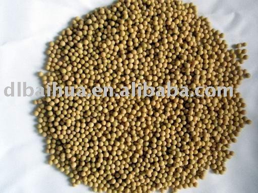  Sprout   Soybean 