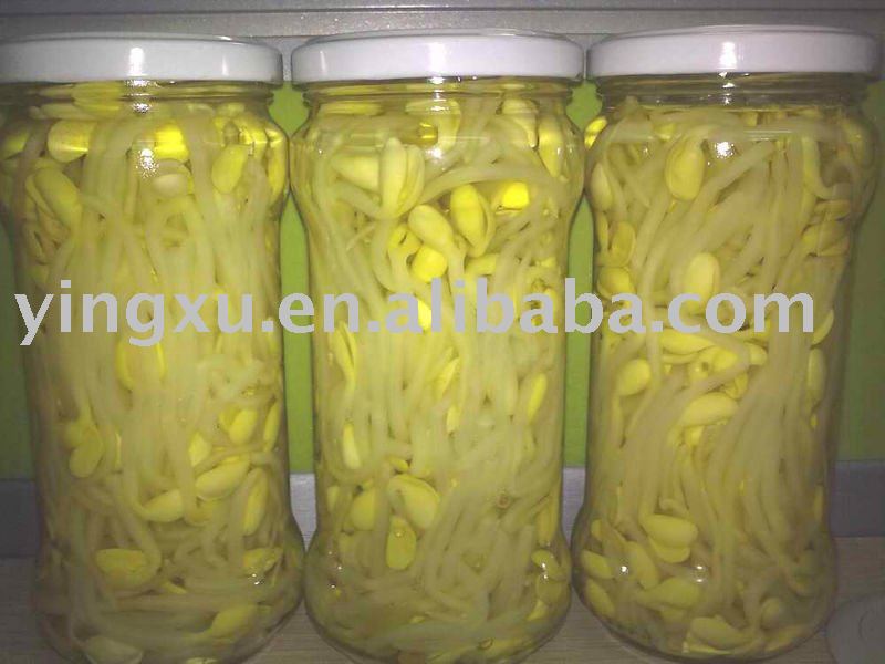Canned Bean  Sprout ( mung   sprout ,vegetable)