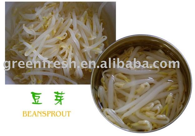 Canned Beans Sprouts