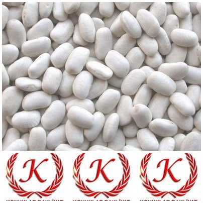  Organic   White   Beans 